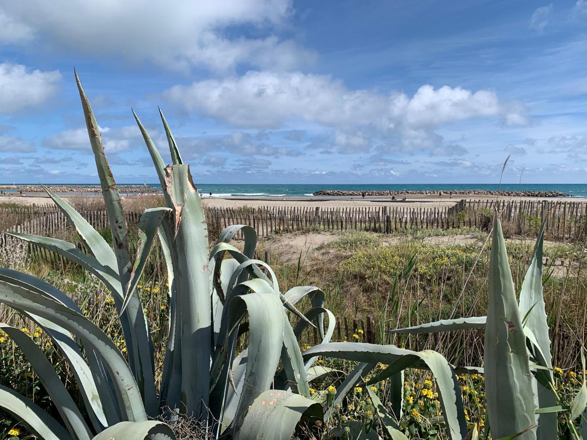 Sete - Vue Mer Imprenable, Piscine, Calme Eksteriør bilde